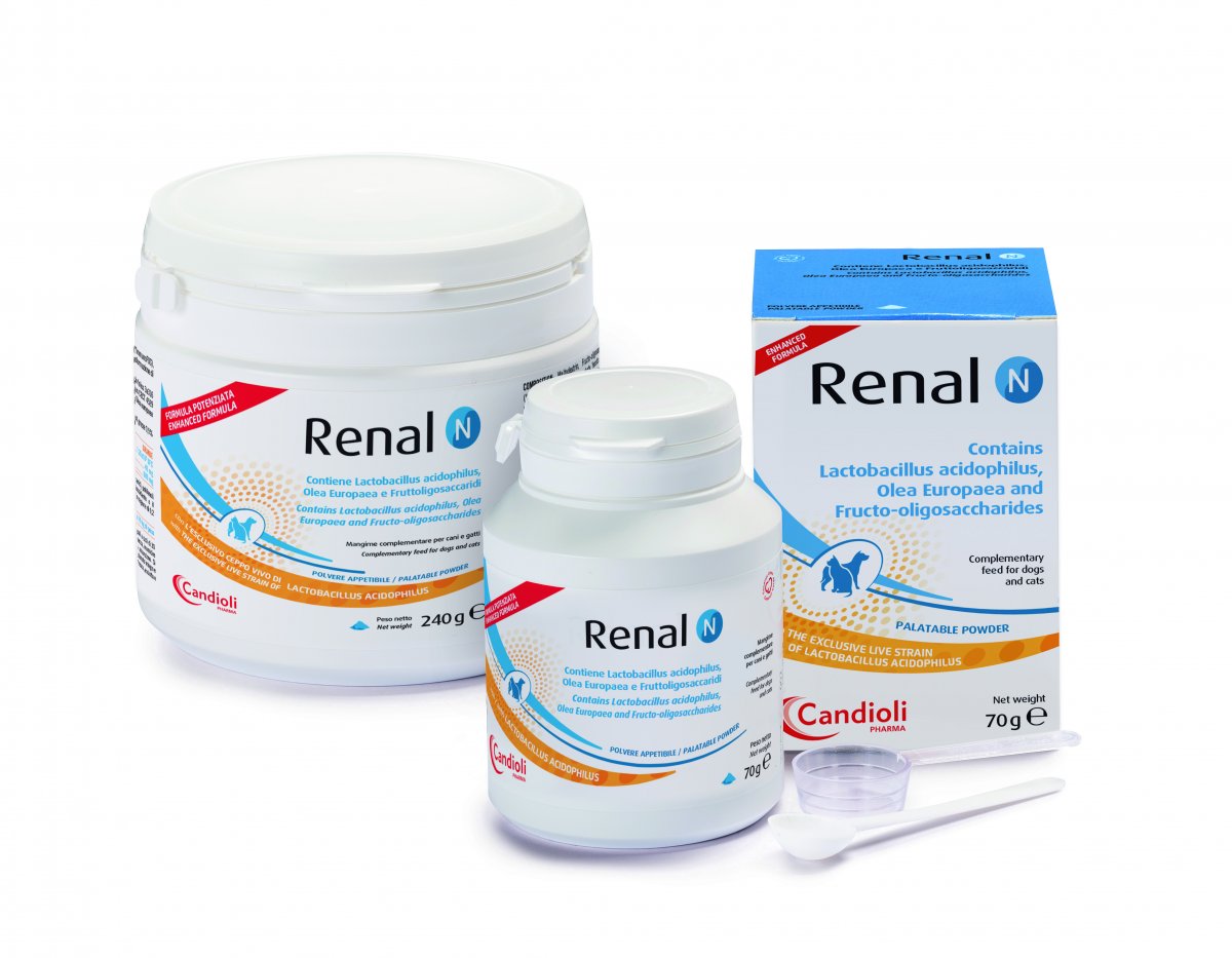 renal supplements for cats