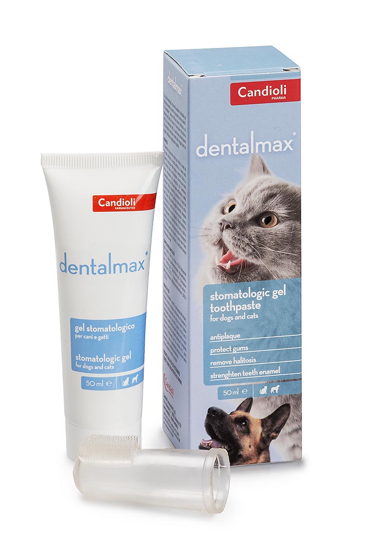 Dentalmax toothpaste with chlorexidine 
