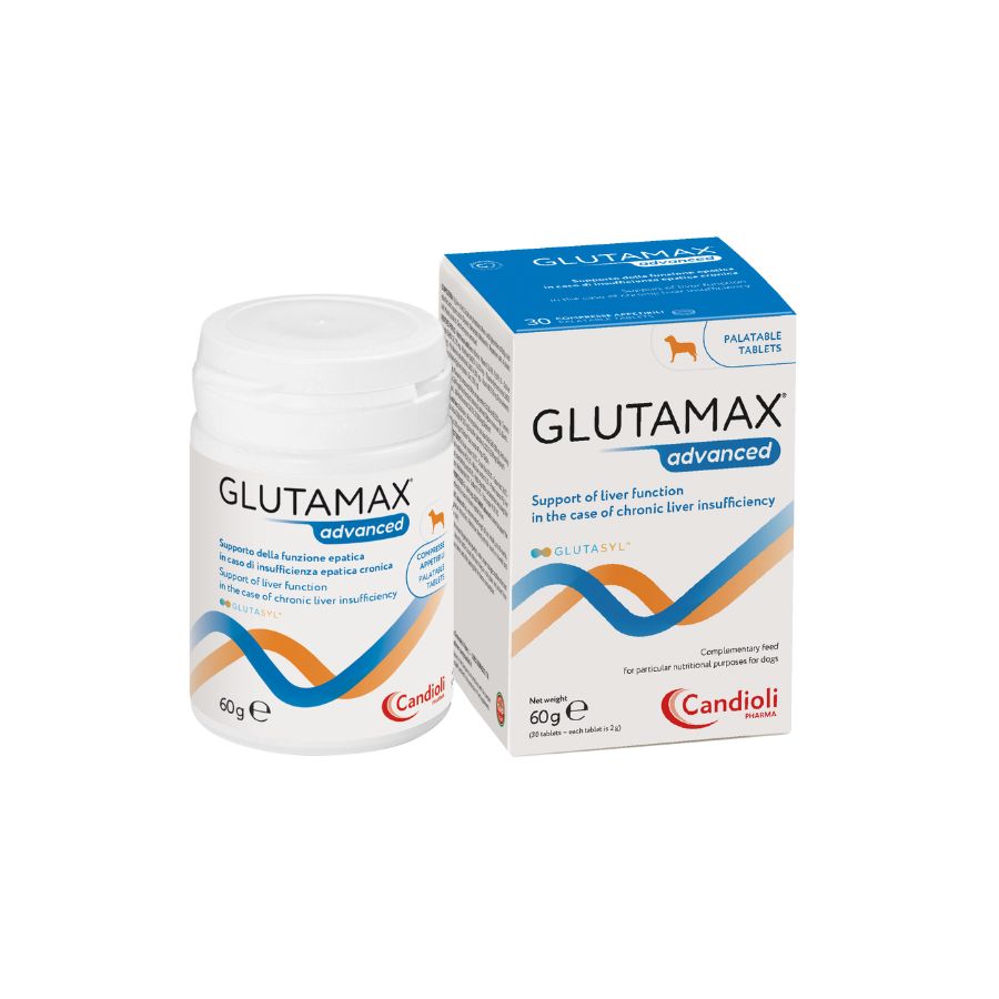 GlutaMax ADVANCED Comprimidos