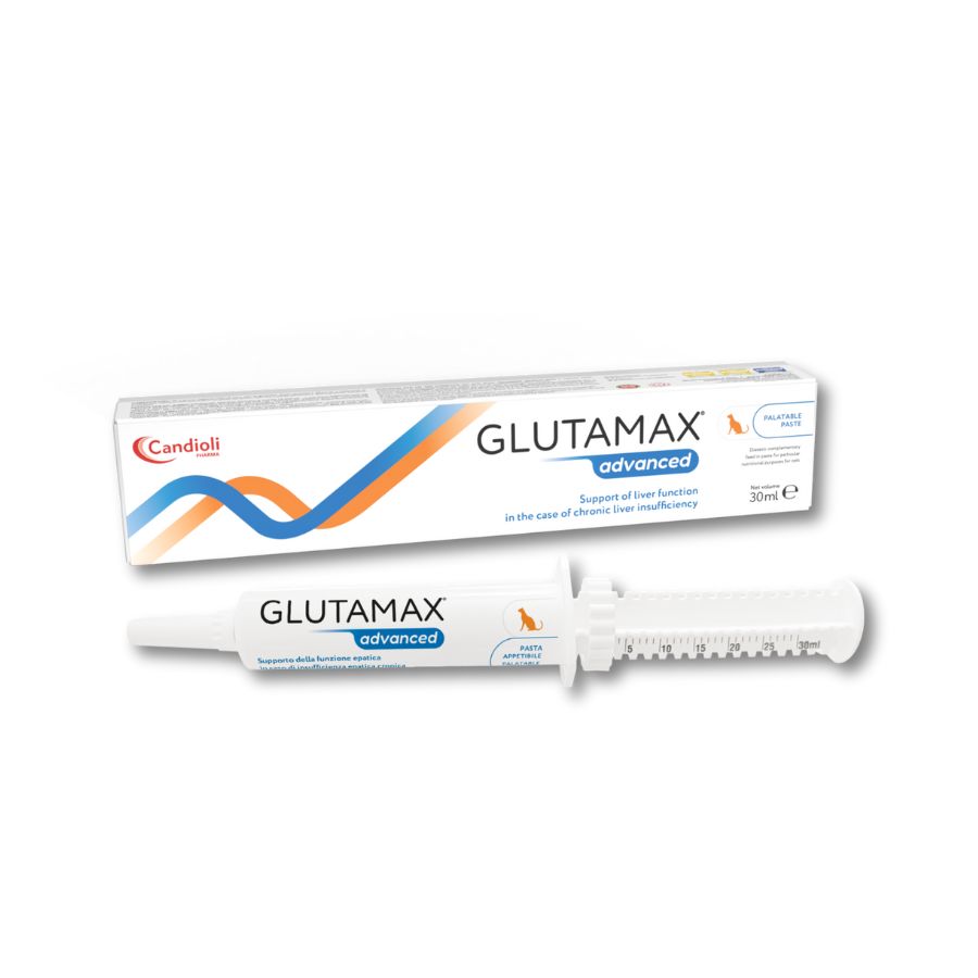 GlutaMax ADVANCED pasta